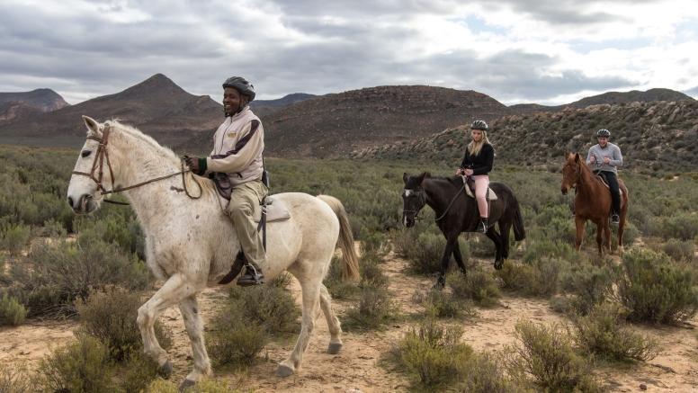 Daytrip Horseback Combo Safari image 1