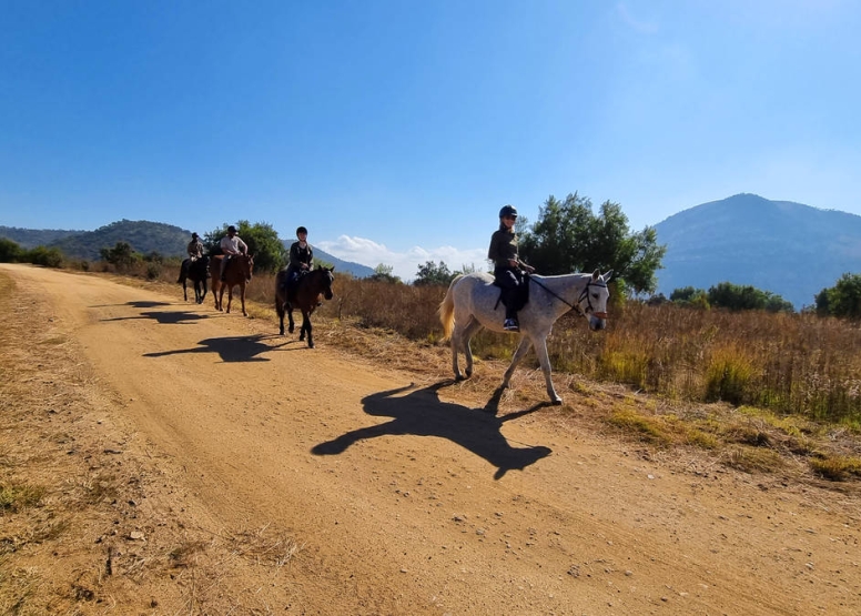 Sunset Horseback Safari image 6