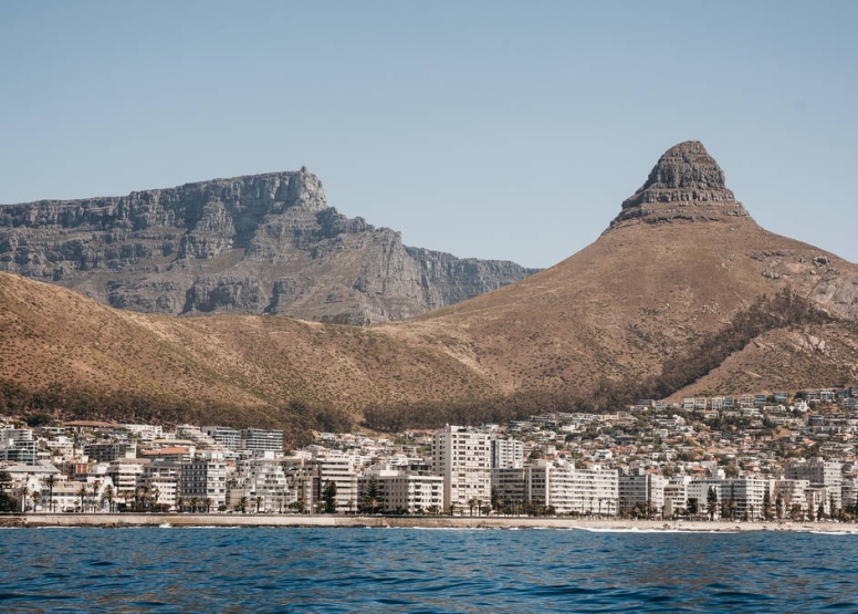 Coastal Cruise & Lunch Combo Cape Town image 6