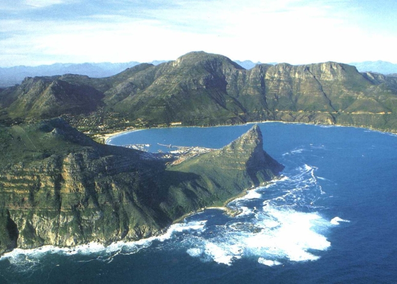 1 Hour Special Boat Trip in Hout Bay image 8