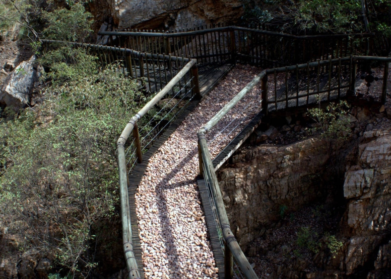 Harties Monkey Sanctuary Tour image 4