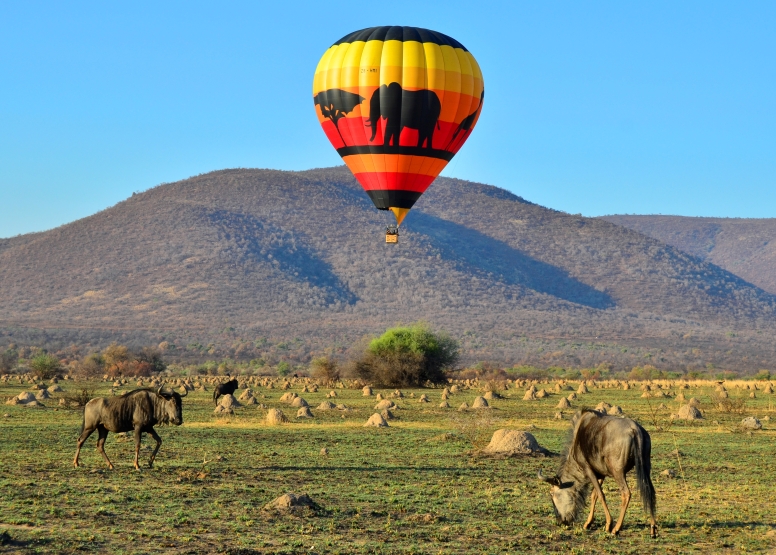 Pilanesberg Hot Air Balloon Safari image 2