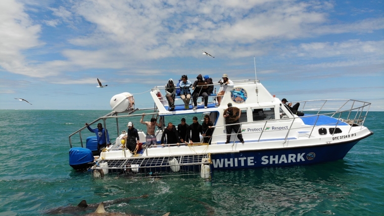 Shark Cage Diving in Gansbaai with White Shark Diving Company image 9