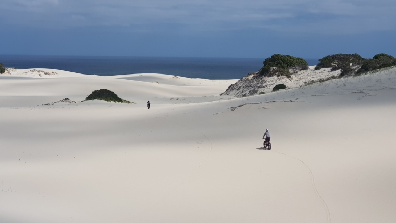 Fat Bike Tour Walker Bay Nature Reserve image 3