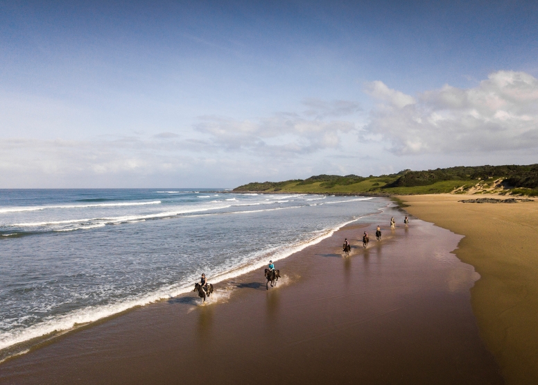 Kei Mouth Beginners Beach Ride image 6