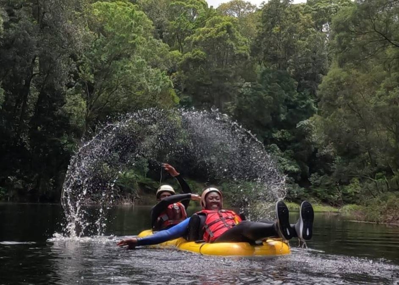 Tubing and SUP Forest Combo image 7
