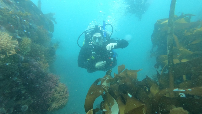 Great African Sea Forest Single Scuba Dive Boat Entry image 1