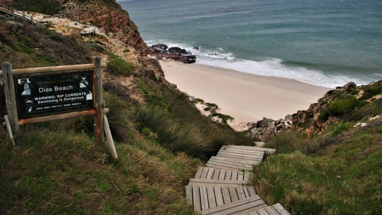 Cape Peninsula Full-Day Tour image 5