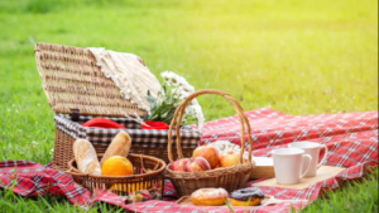 2hr Bike Rental with picnic basket image 1