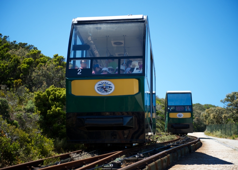 Cape Point Funicular - One Way Ticket - Up image 11