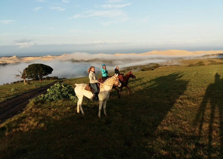 Kariega River Horse Ride image 5
