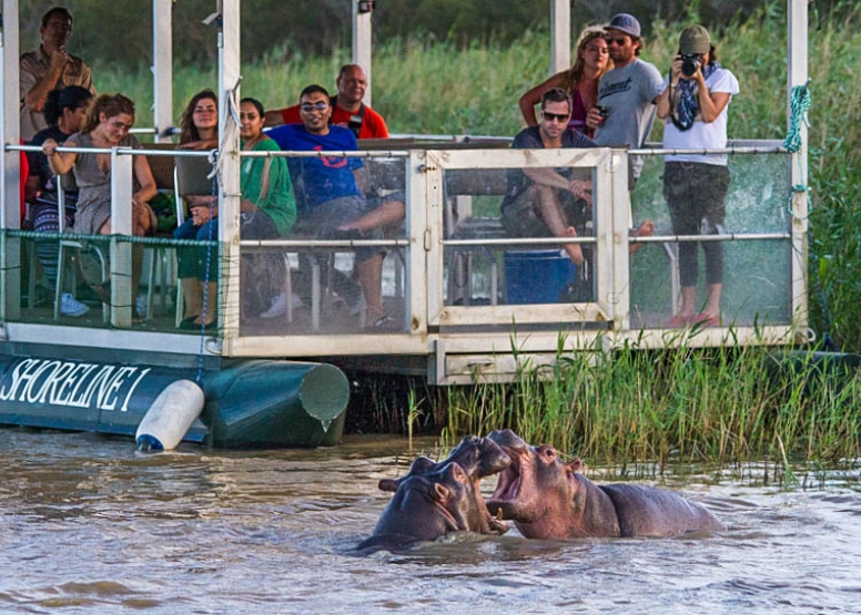 Hippo & Croc Boat Cruise image 7