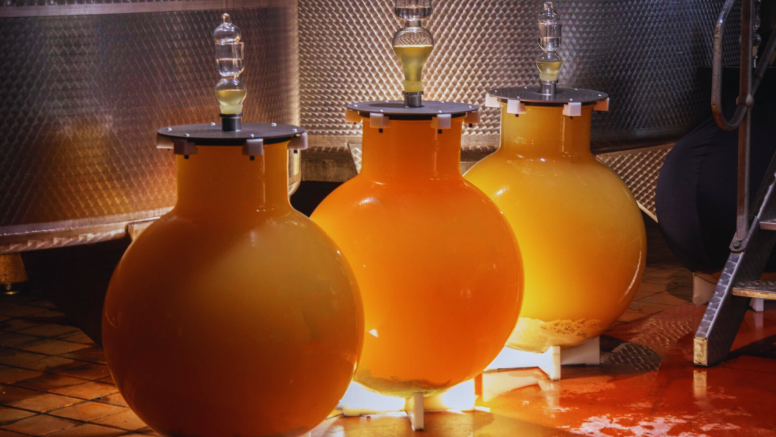 Wine Safari Tour-Northern Line image 8