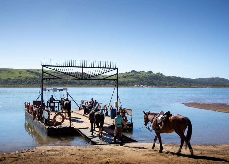 7 night 8 day Wild Coast Horse Trail our Signature Monthly Adventure Trail image 2