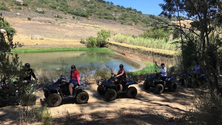 One Hour Quad Bike Trail Paarl image 4