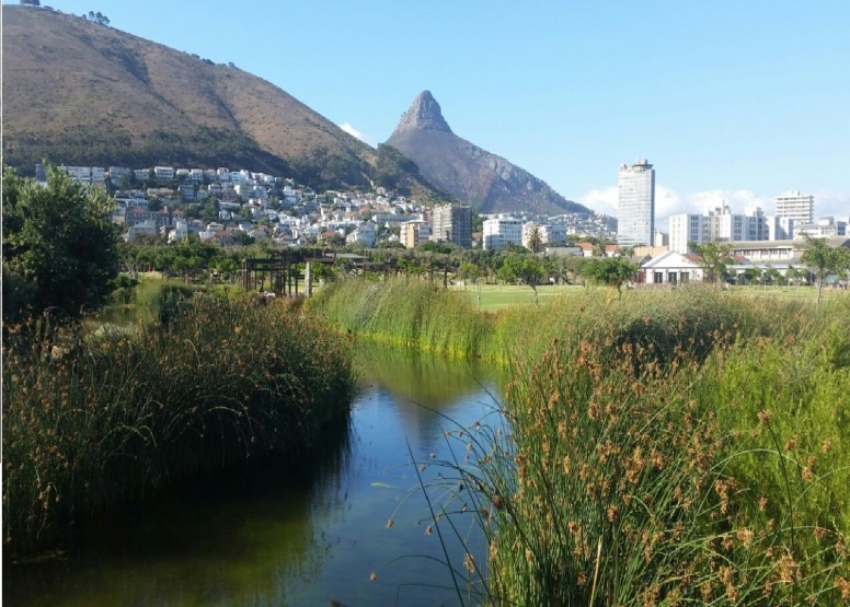 Cape Town City Cycle - Private Tours image 6