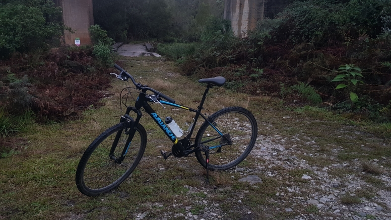 2 Hour Bike Rental image 1