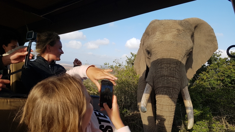 GAME DRIVE SUNRISE / SUNDOWNER image 3