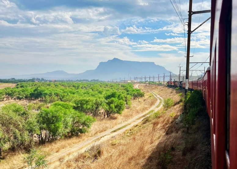 Steam Train to Elgin Observation Car Groups 25 to 34 pax image 3