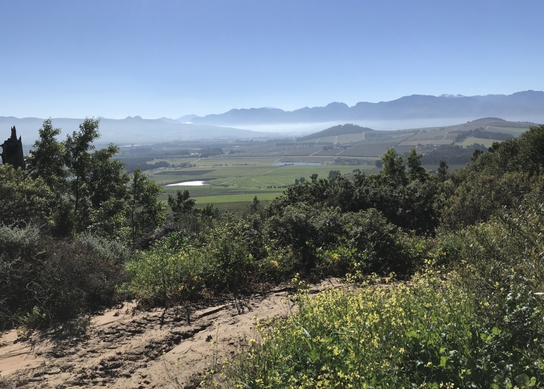 HALF DAY HORSEBACK WINE TOUR image 2