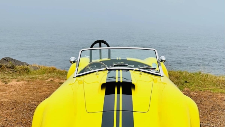 Half Day Cobra Experience  - Yellow with Black Stripes image 1