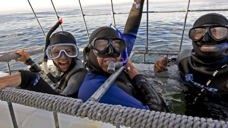 Shark Cage Diving Cape Town image 2