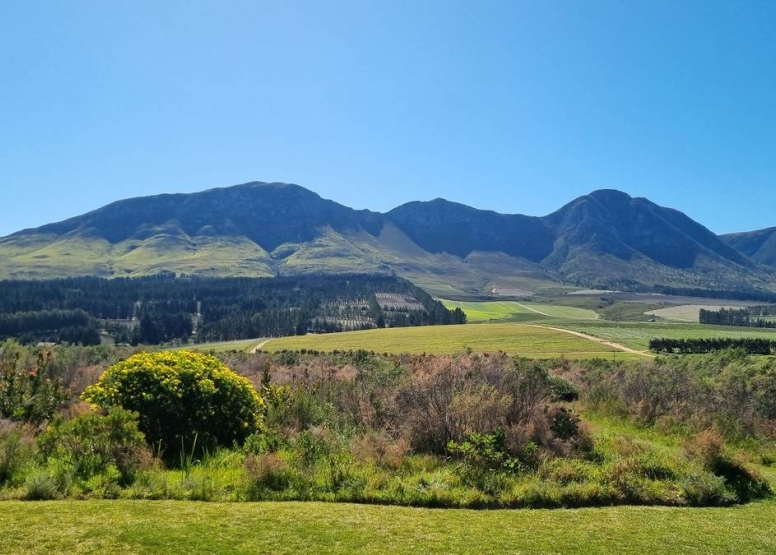 Full Day Hermanus image 5