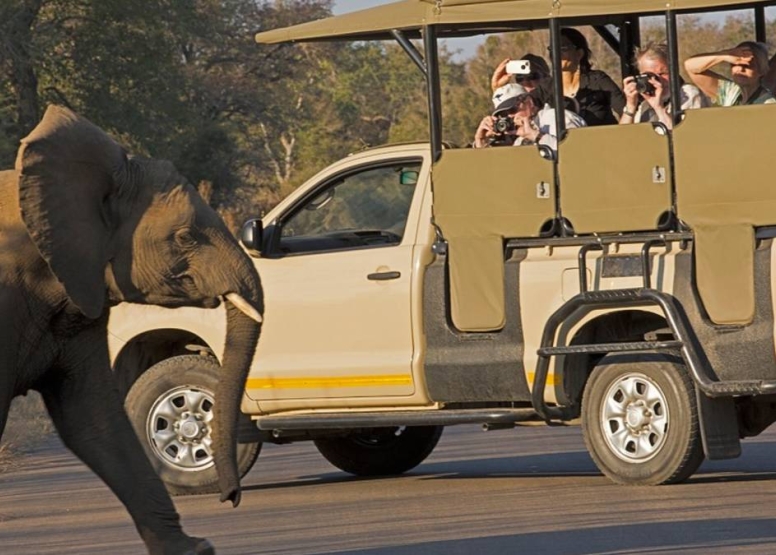 Afternoon KNP Open Vehicle Safaris image 3 Afternoon KNP Open Vehicle Safaris image 3