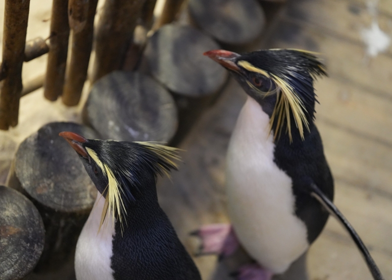 Two Oceans Aquarium Day Visit image 4