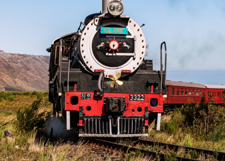 Steam Train to Elgin Observation Car Groups 25 to 34 pax image 9