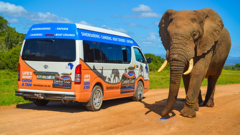 Addo Safaris image 1