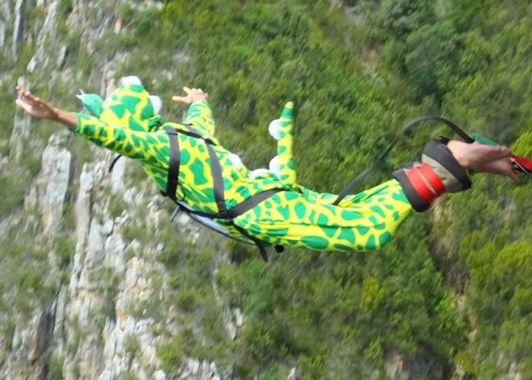 Bungy Jump image 3