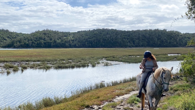 Kariega River Horse Ride image 6