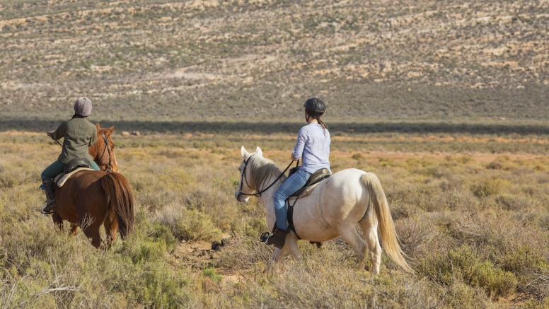 Horseback Safari (Including Transfer) image 8