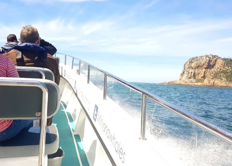 Knysna Eco Marine Boat Trip image 2
