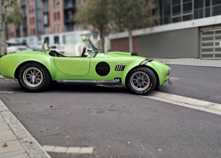 Full Day Cobra Rental Green image 1