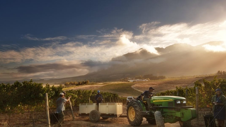 Winelands Full Day image 2