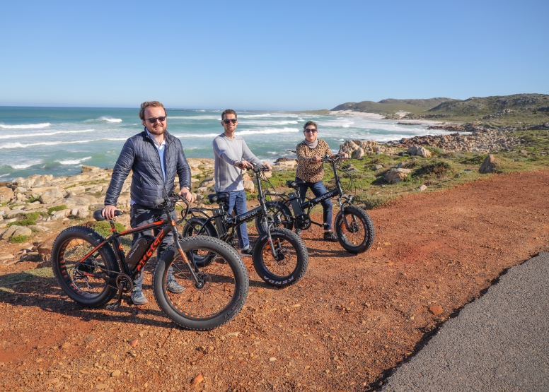 Electric Bike Cape Peninsula Tour image 1