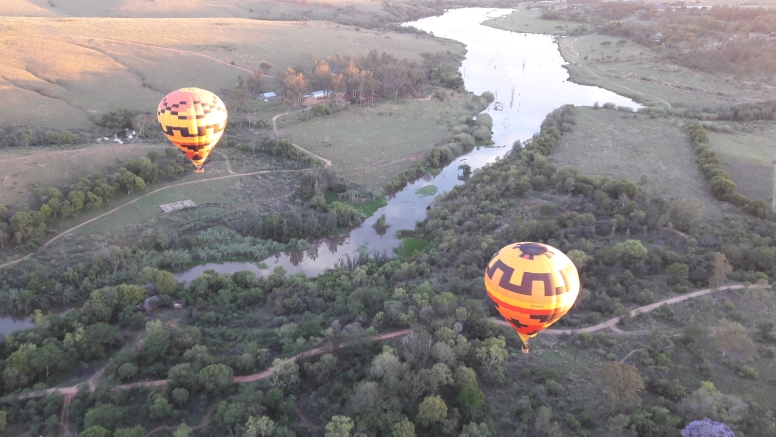 Safari Flight image 1