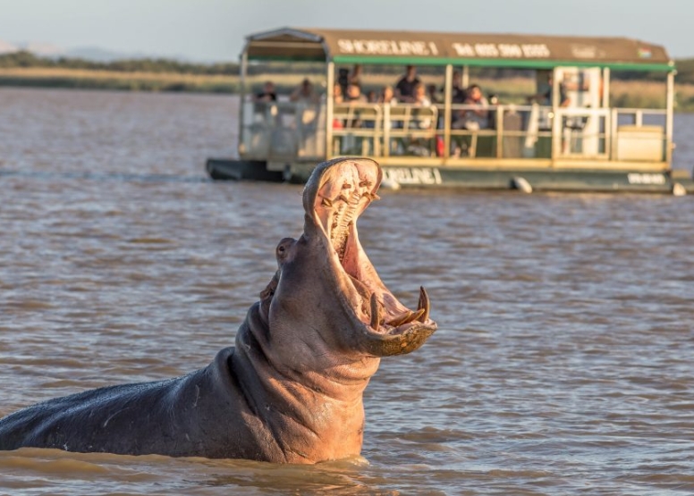 Hippo & Croc Boat Cruise image 8