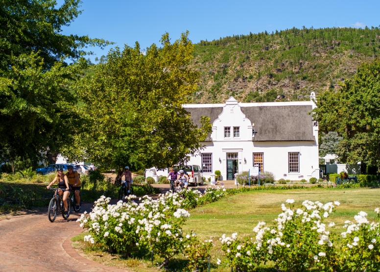 Franschhoek Half Day Winelands Mountain Bike Tour image 1