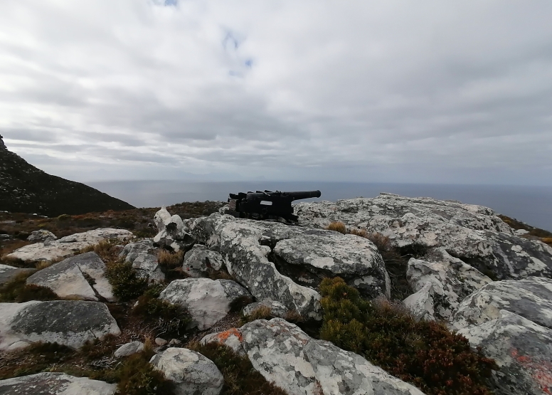 Cape Point Trail Run image 15