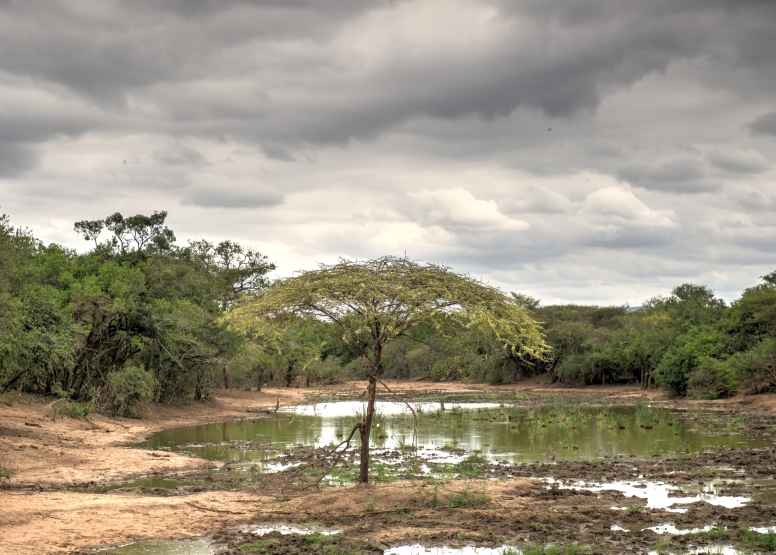 uMkhuze Game Drive - Full day with lunch image 1