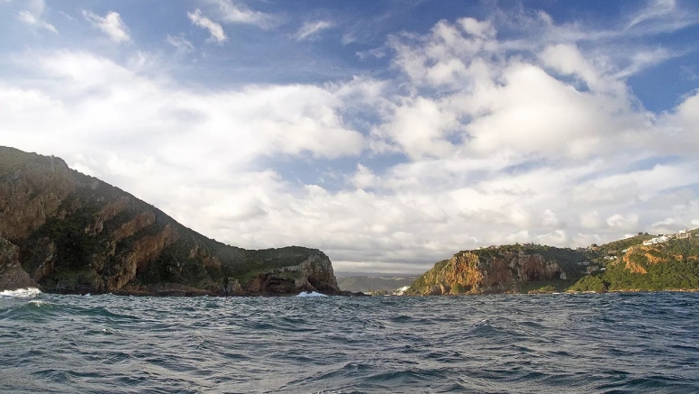 Knysna Whale Watching - Close Encounters image 8