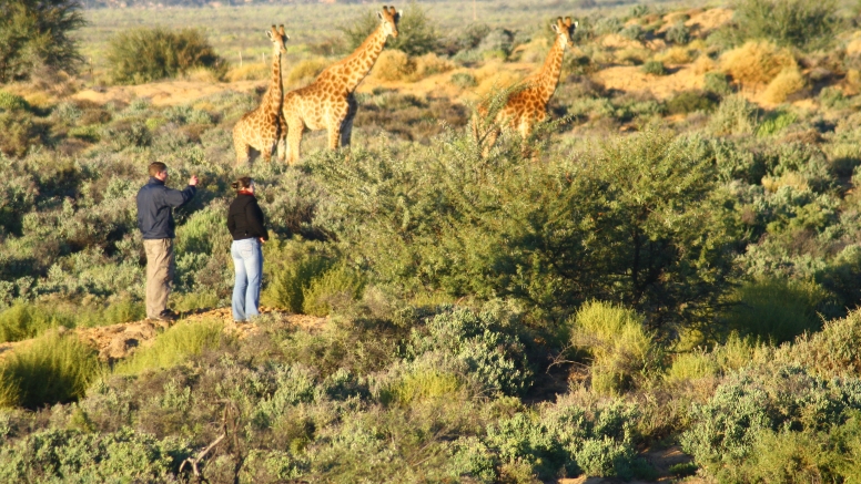 One Day Safari at Inverdoorn Safari Lodge & Game Reserve image 6