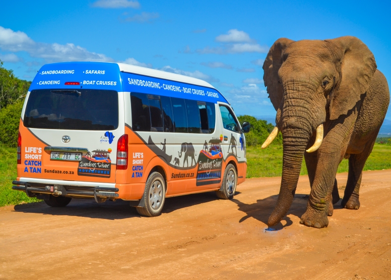 Addo Safaris image 1