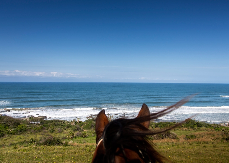 Morgan Bay Cliff Top Beach Ride image 1