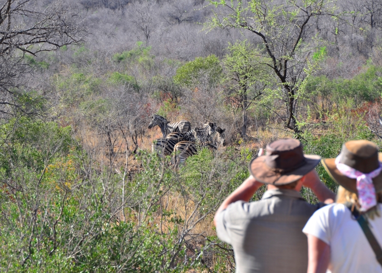 Pilanesberg Game Walk image 1