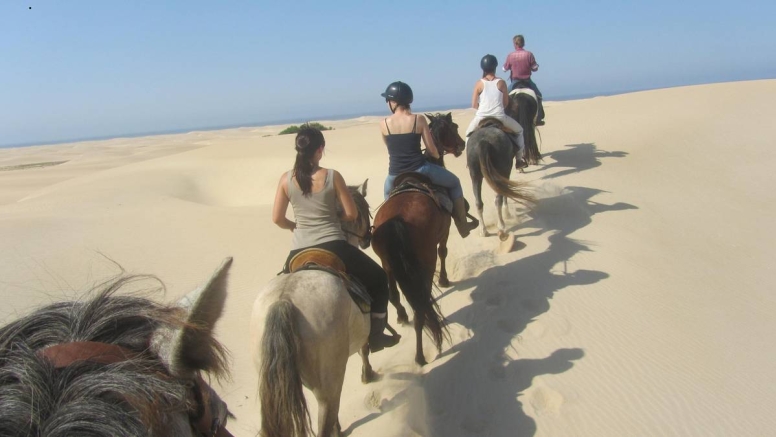 Beach Horse Trail Intermediate image 1