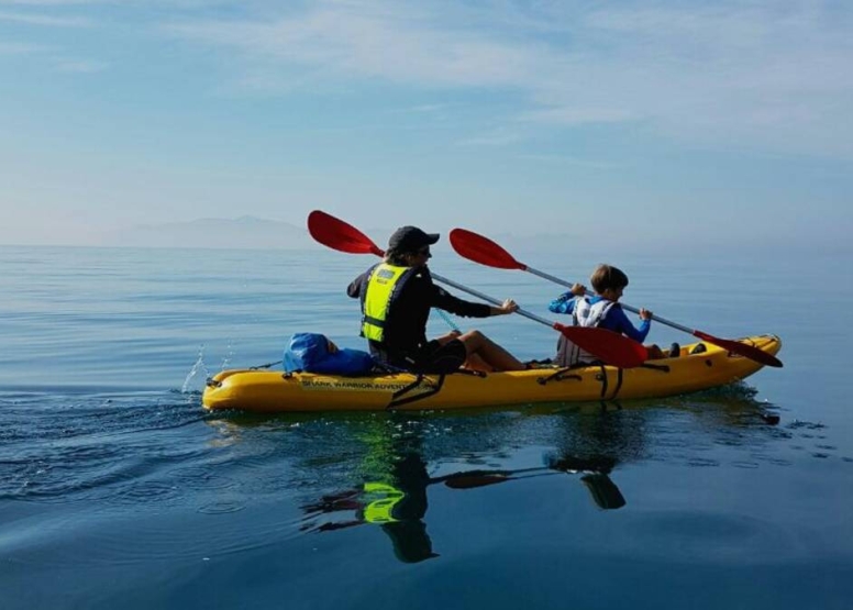 Penguin Kayak Paddle image 3